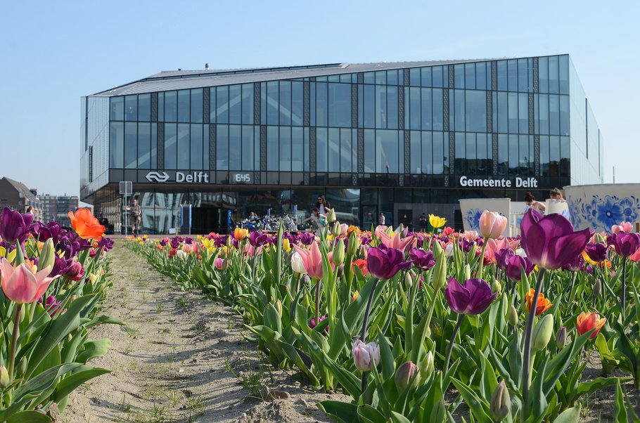 Tulpen rondom station Delft, april 2018