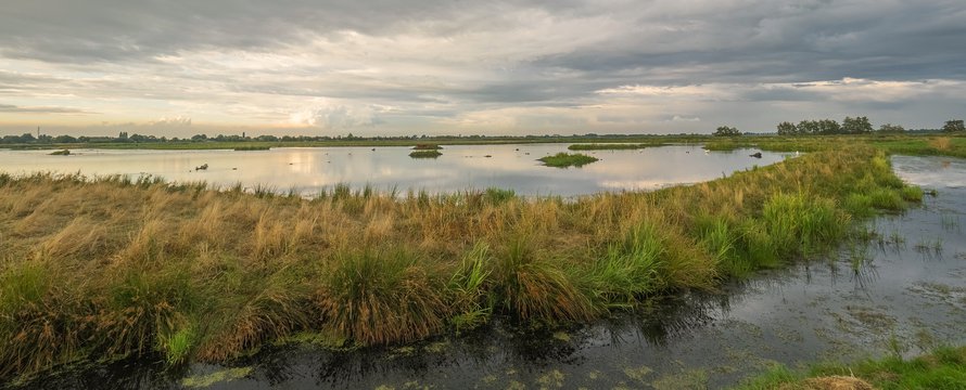Waterberging landschap weiland