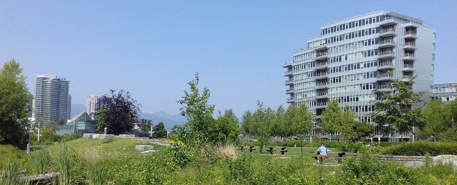 Ingrid Rompa_Natuurgebied in Olympic Village