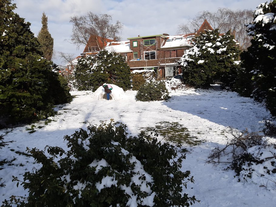 Het plantsoen in de winter van 2021, een prima plek voor een iglo
