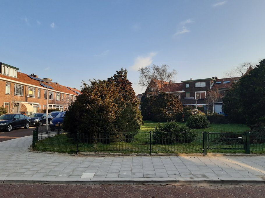 Het plantsoen in 2021