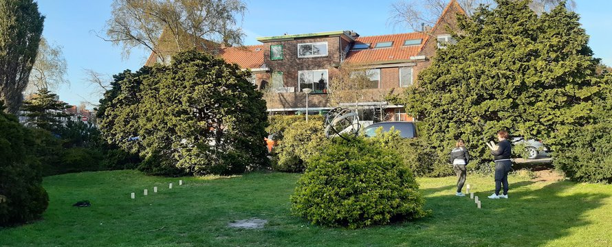 Delfts plantsoen