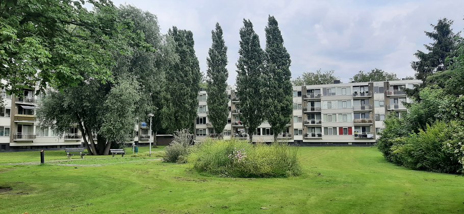 Lichte en luchtige hof met kastanjebomen, wilgen en populieren