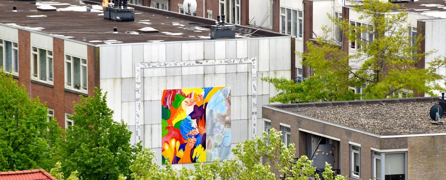 rotterdam daken