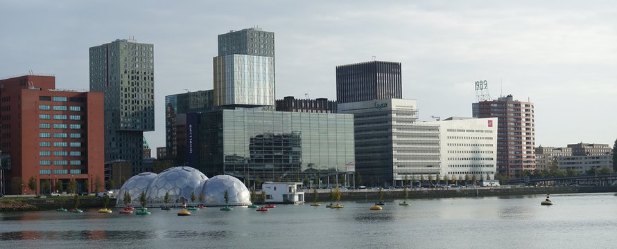 Rijnhaven in Rotterdam