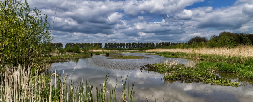 "Het Laarzenpad 01 Biesbosch, Dordrecht" (CC BY 2.0) by PAUL-fotografie-Netherlands