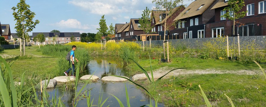 Klimaatadaptieve nieuwbouw in Boszoom, Pijnacker