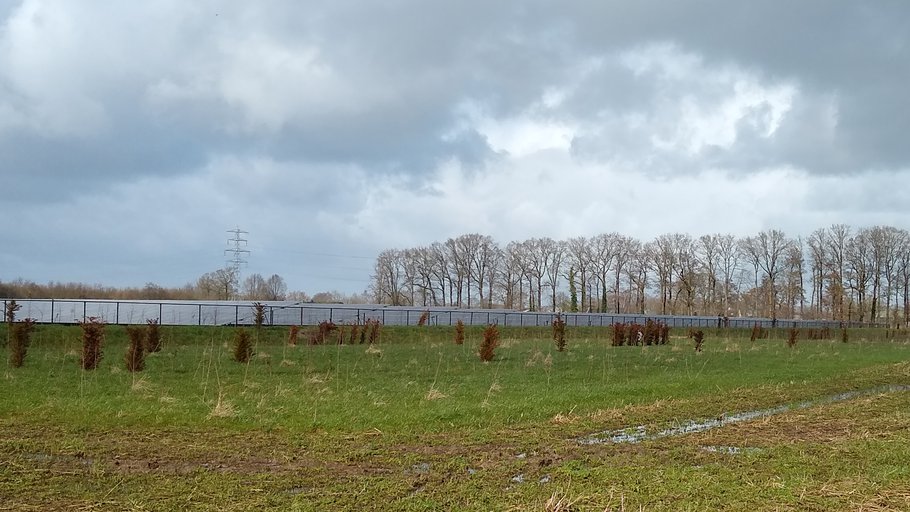 De buitenkant van het zonnepark met hek. De jonge aanplant kan de harde rand nog niet verzachten.