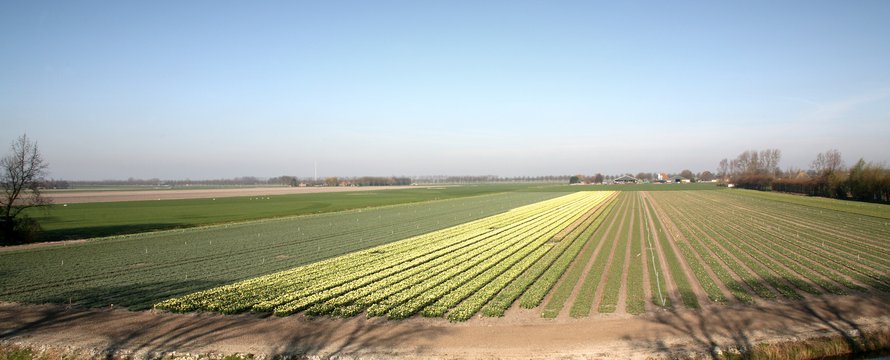 De Beester