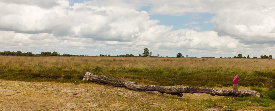 natuurgebied natura2000 drenthe | wikimedia commons / Agnes Monkelbaan / CC BY-SA 4.0