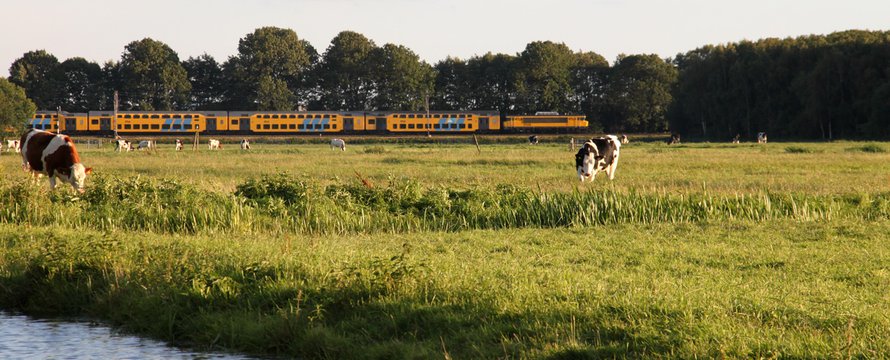 groen grondbeleid landelijk gebied