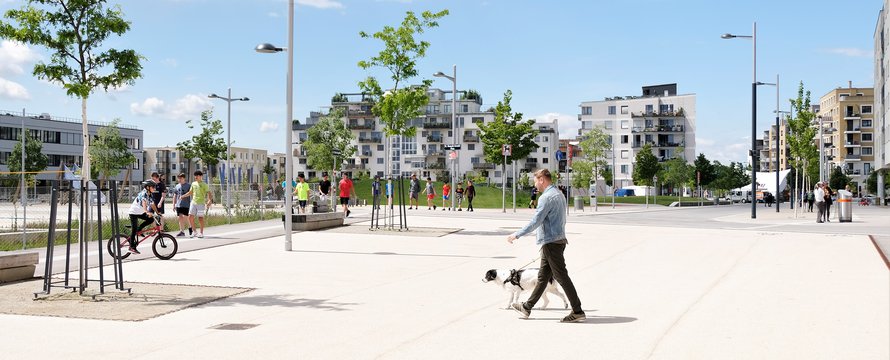 Seestadt_Cover_Job Zomerplaag