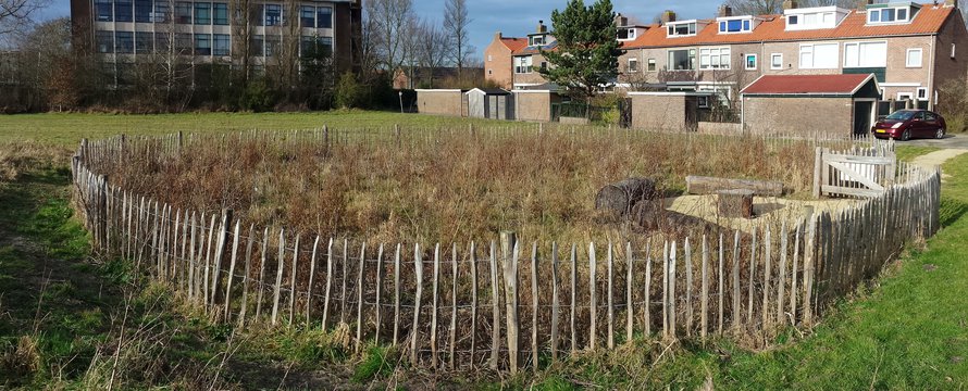 Tiny forest - Den Helder