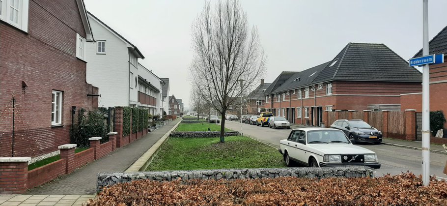 Ridderzwam
