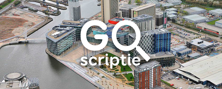 go scriptie incentives