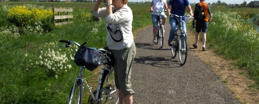 groen recreatie natuur fietsen