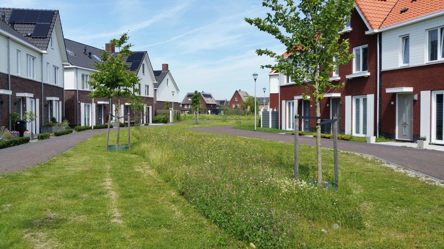 Nieuwbouw Boszoom gemeente Pijnacker-Nootdorp