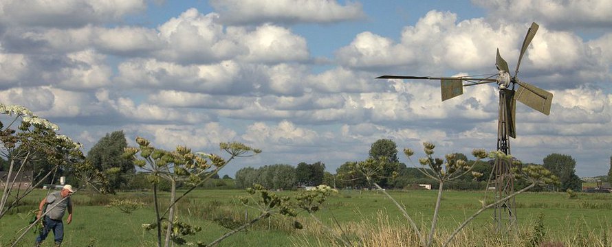 Braakliggend weiland bij Vianen