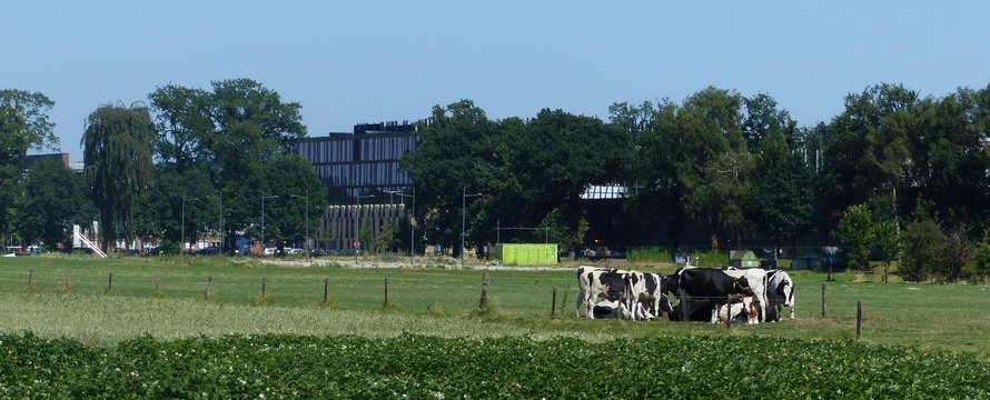 wageningen omgeving2