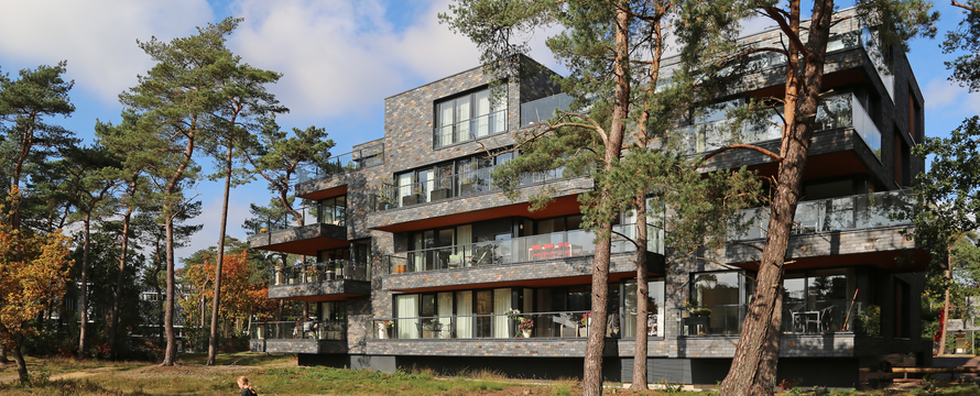 Life in the woods, Zeist -> Synchroon