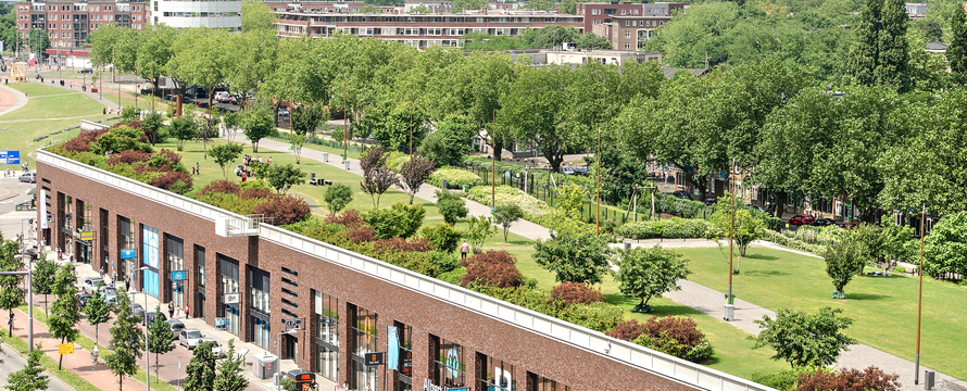 Dakpark Rotterdam