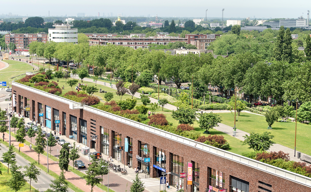 Dakpark Rotterdam