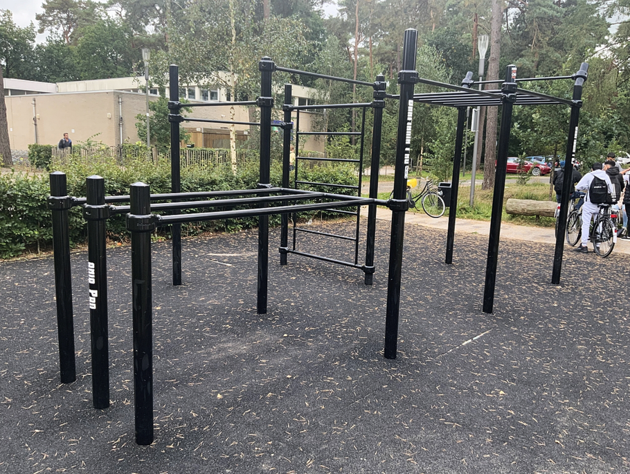 Calisthenics