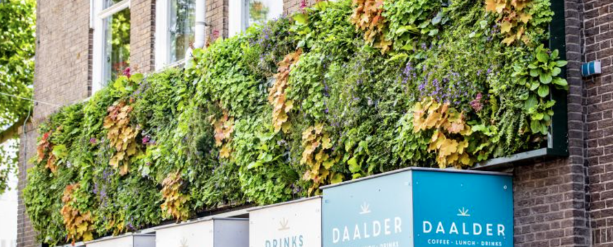 Klimaatstraat Apeldoorn