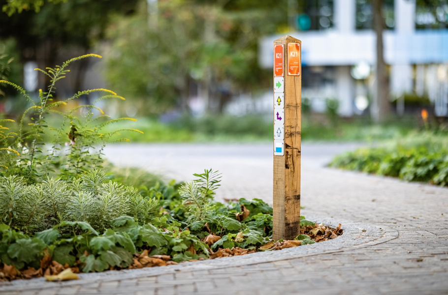 Verbindingen worden gestimuleerd, onder andere door het wandelnetwerk door het Stationsplein te laten kruizen