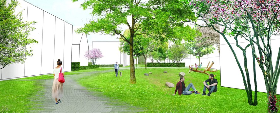 De gezondste wijk van Nederland - Beeld: AM, 2020