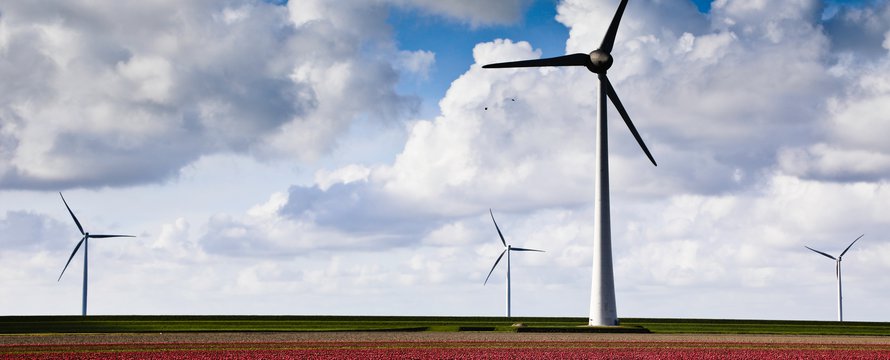 Windmolens_Photo by Aniek Wessel on Unsplash
