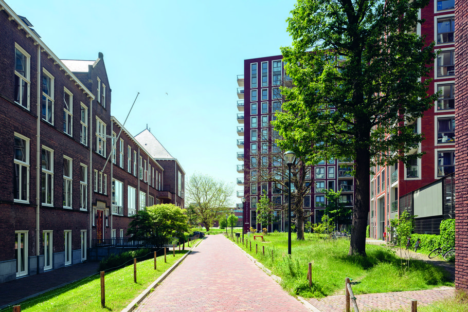 Leiden Dankmeijerpad