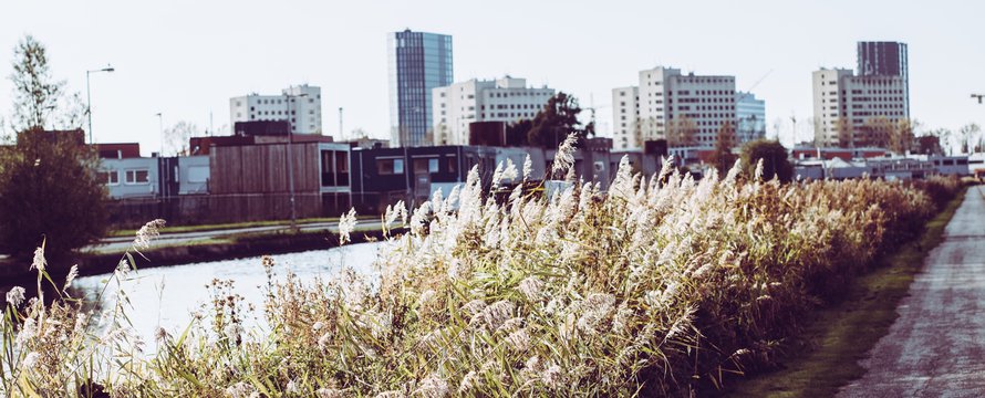 Amsterdam river and Bijlmer Bajes prison with nature and plants