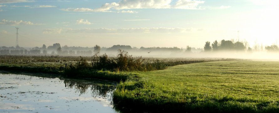 Dordrecht weiland