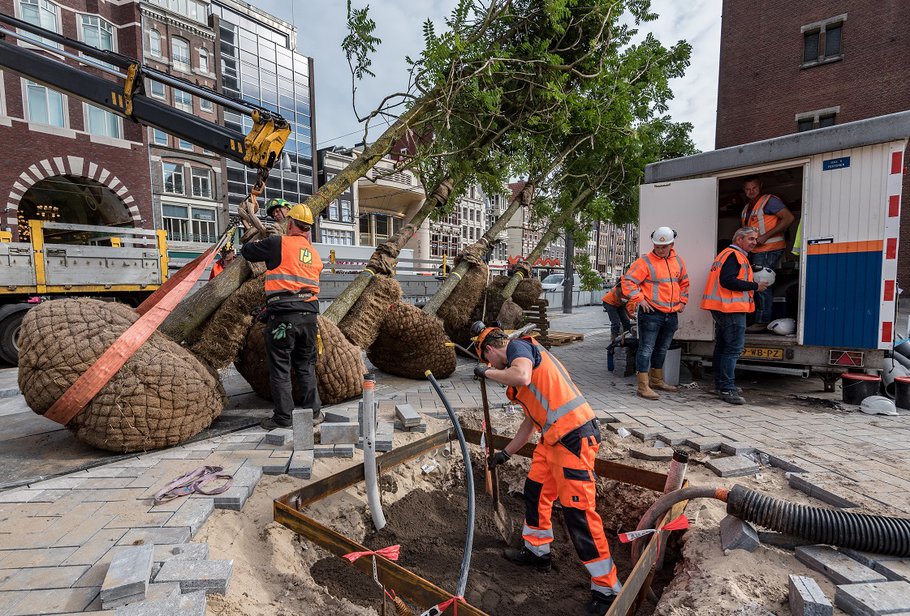 Ecologische inrichting Beursplein 2019