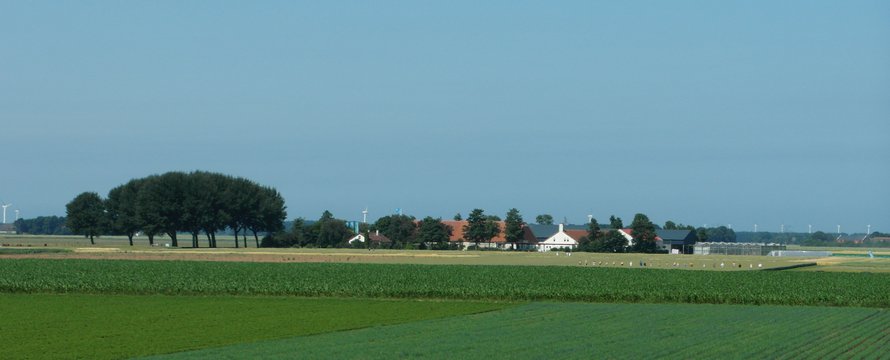 flevoland weiland
