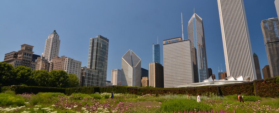 green roof lurie garden
