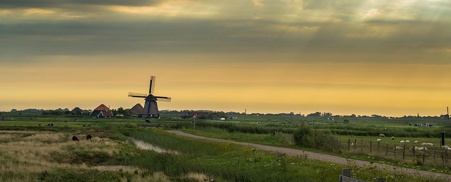 Nederland polder