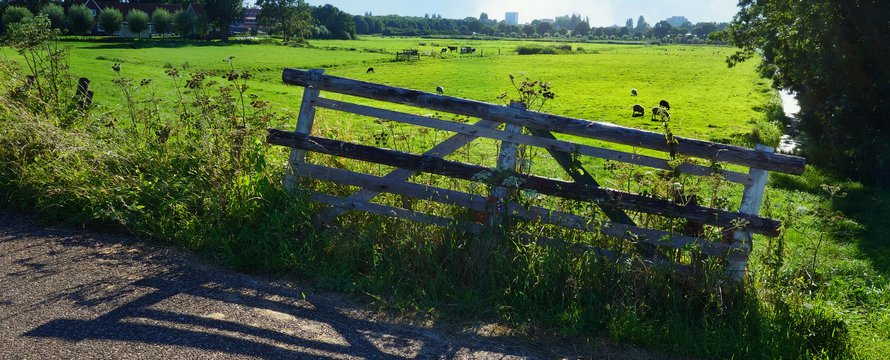 Polder