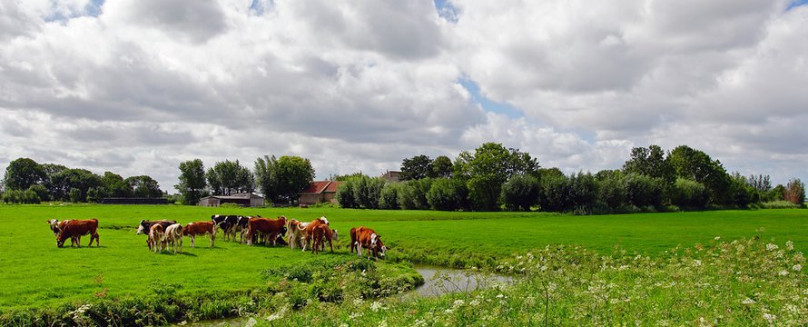 delfland midden "Schipluiden" (CC BY-SA 2.0) by kees torn