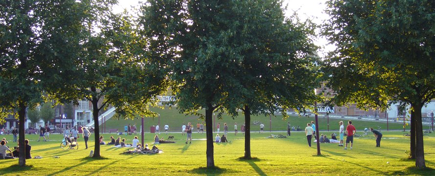 natuur in stad
