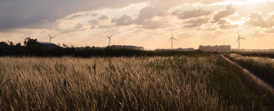 Landschap windmolens