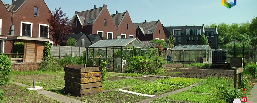 ouderkerk zuid at5.PNG