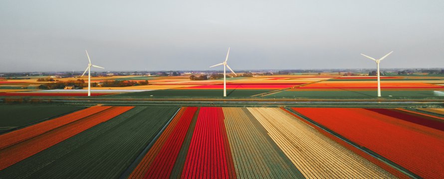 Windmolens Callantsoog_Photo by redcharlie on Unsplash