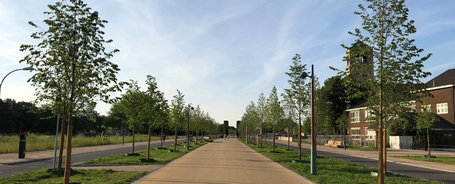 De Groene Loper in Maastricht