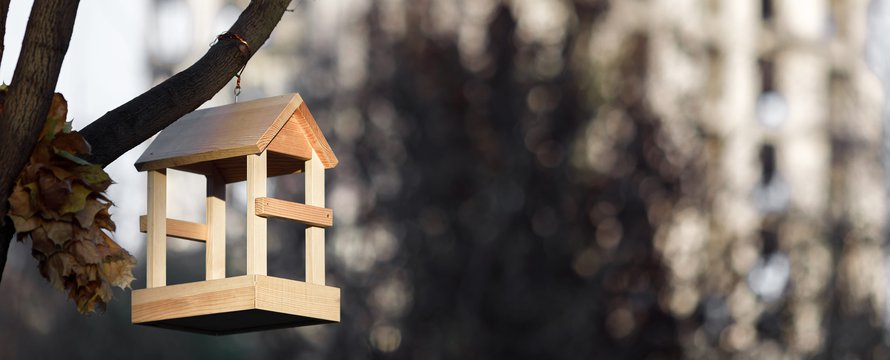 Een nestkast in de stad