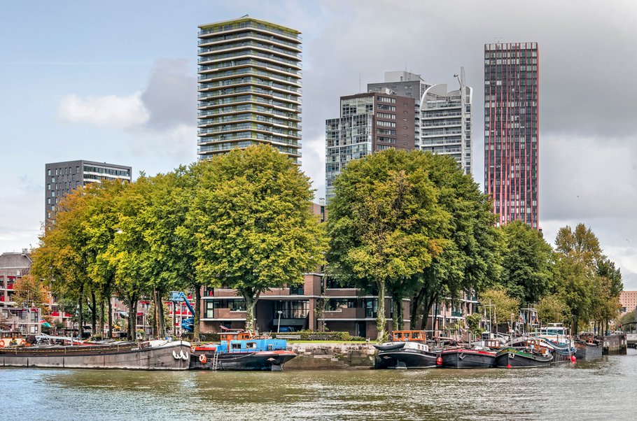 Wijnhaveneiland, Rotterdam