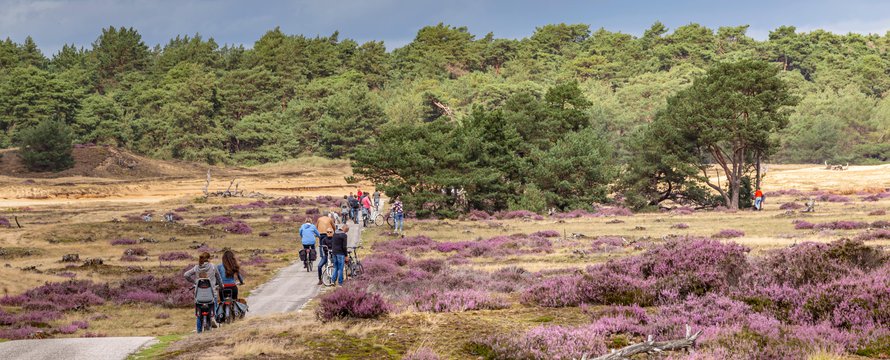 De Veluwe, Ede