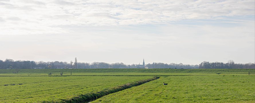 Polderlandschap