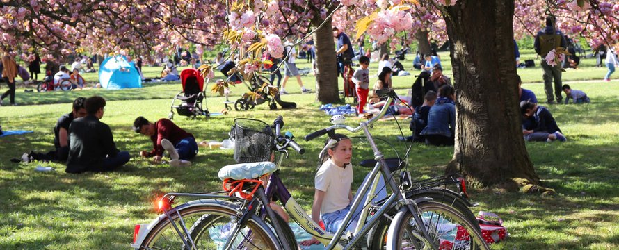 Lente in een park in Frankrijk